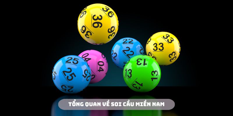 soi-cau-mien-nam-la-hoat-dong-soi-noi-tai-nen-tang-kubet